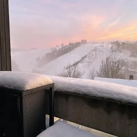 Harzchalet Emma 3 - Mit Sauna - سانكت اندرياسبرغ